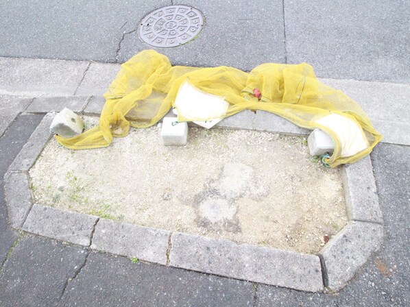 テラス植田山の物件外観写真